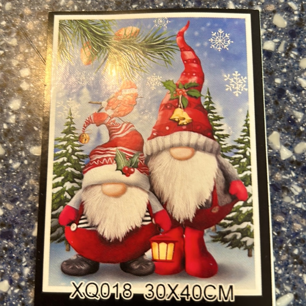 Holiday Gnomes!!!
Cross Stich kit for the crafty person on you list.